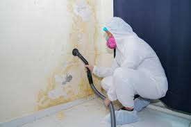 Best Emergency Mold Remediation  in Beverly Hills, CA